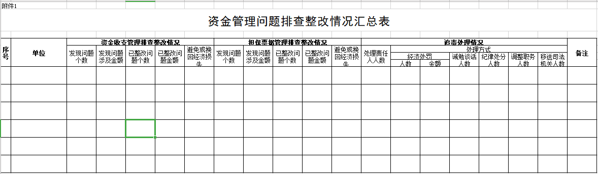 资金管理专项整治行动方案